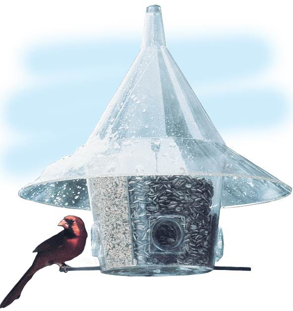 Arundale Mandarin Birdfeeder With Divider