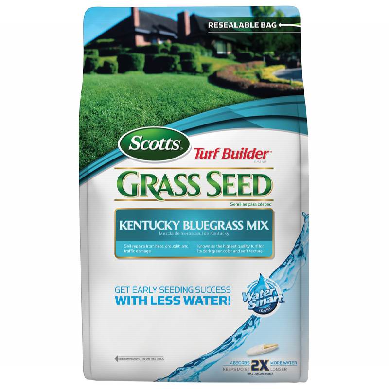Scotts 7 Turf Builder Kentucky Bluegrass
