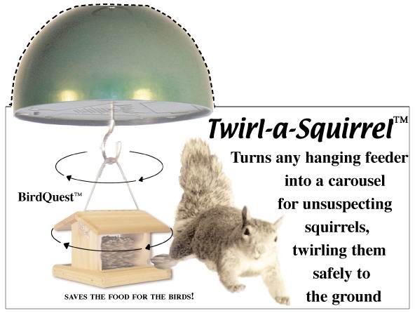 Woodworking Current Events Plans To Build A Squirrel Proof Bird