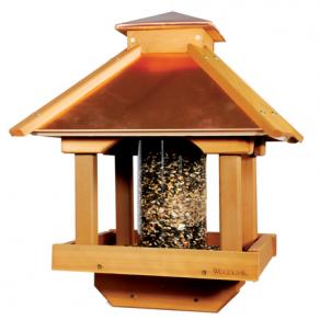 COPGAZEBO.jpg