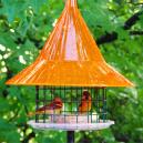 SkyCafeoriolefeeder.jpg