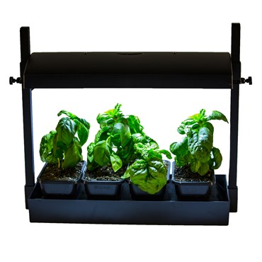 SunBlaster LED Micro Growlight Garden - Black
