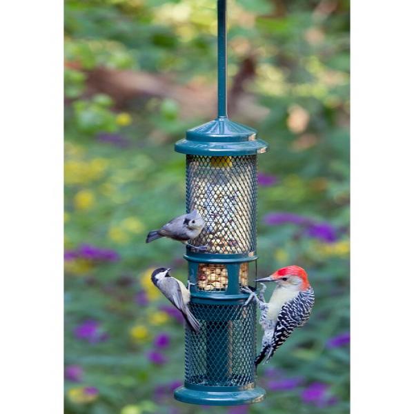 Brome Squirrel Buster Plus Peanut Feeder