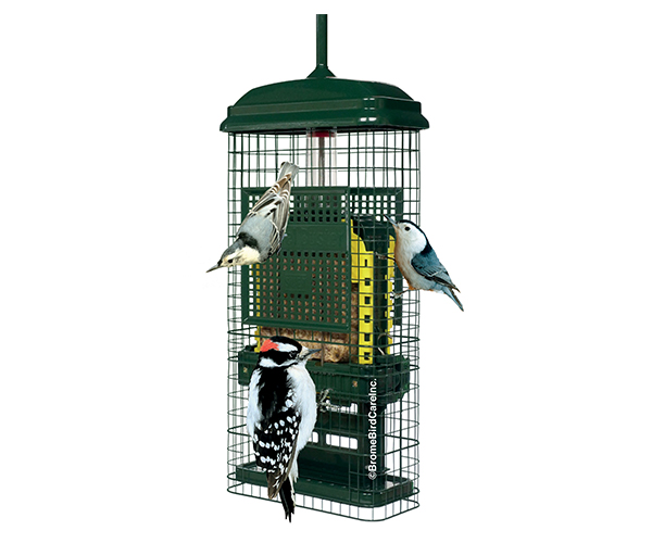 Brome Squirrel Buster Suet Feeder-BD1106