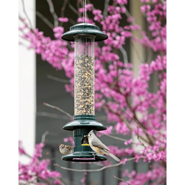 Brome Squirrel Buster Evolution Bird Feeder
