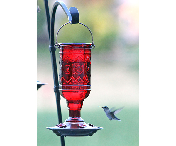 Jewel Red Hummingbird Feeder