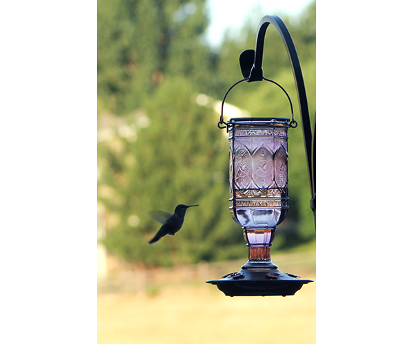 Jewel Amethyst Hummingbird Feeder