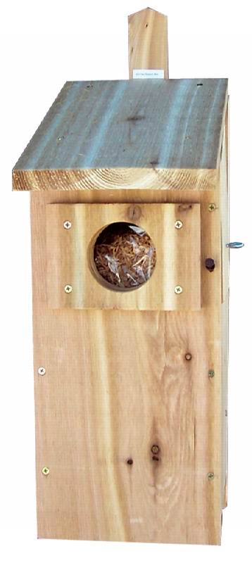 Stovall Wood Screech Owl and Kestrel Box