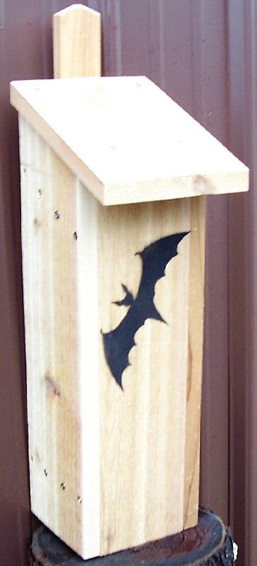 Stovall Wood Bachelor Dwelling Bat House