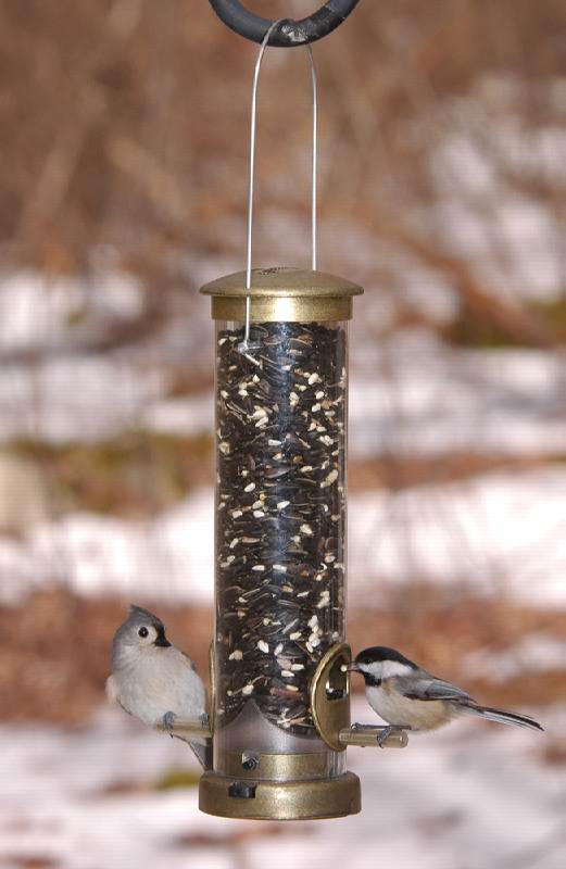 Aspects Small Antique Brass Seed Tube Feeder Quick Clean