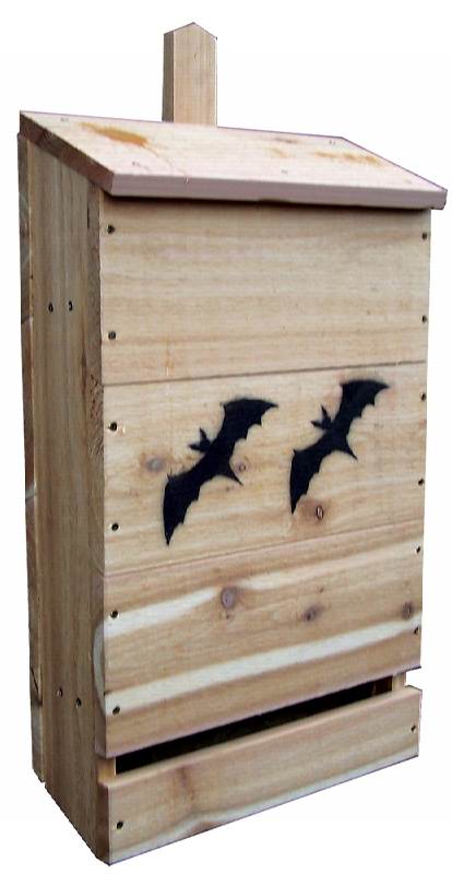Stovall Wood Nursery Bat House