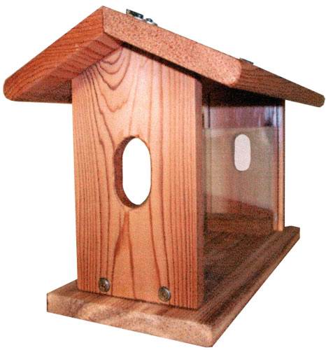 Stovall Wood Bluebird Feeder With Chain