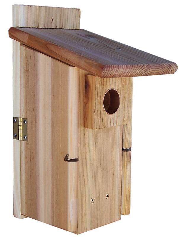 Stovall Wood Ultimate Bluebird House With Window