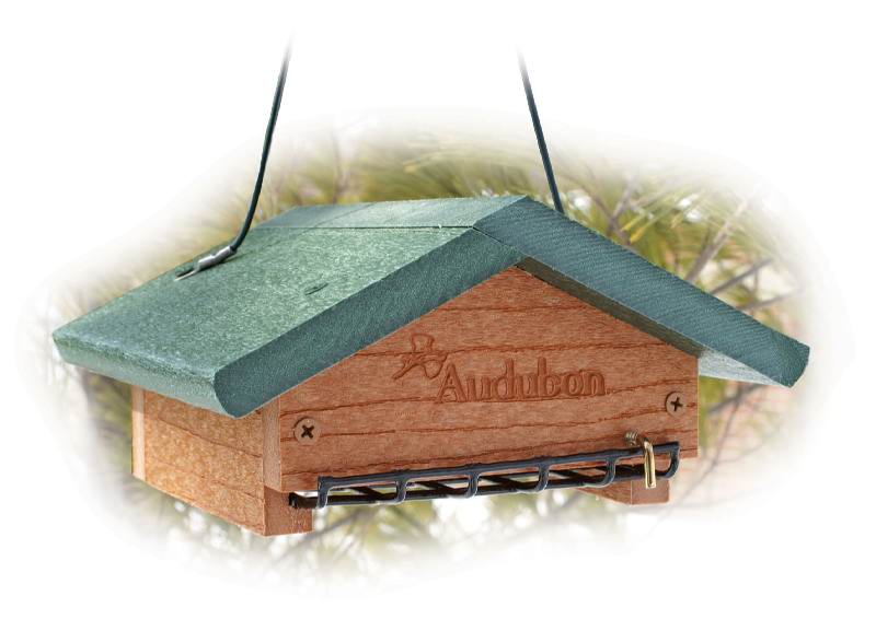 Woodlink Audubon Going Green Upside Down Suet Feeder