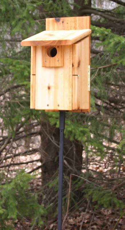 Stovall Western Mountain Bluebird House