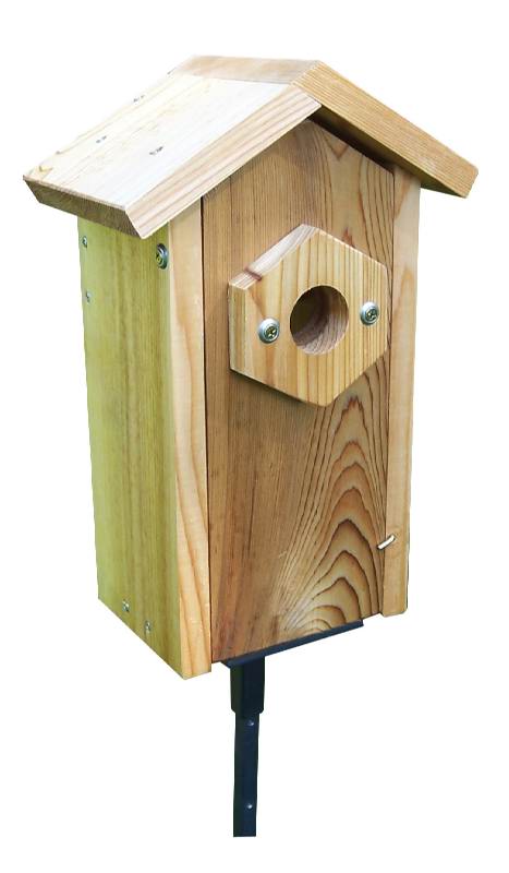 Stovall Window Viewing Nest Box W/ Suction Cups