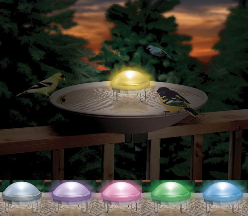 API/Miller Aurora colorful Lighted Water Wiggler