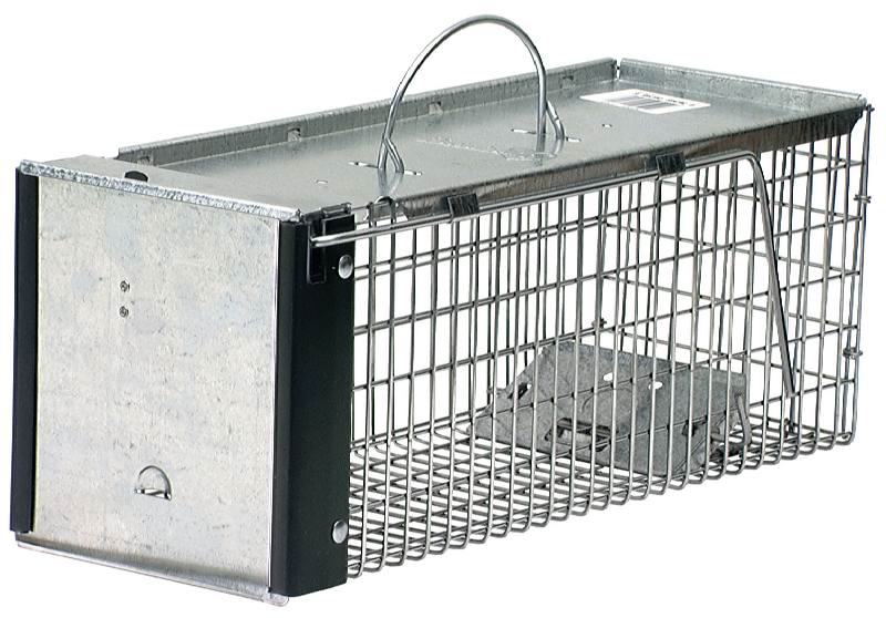 Havahart 16x6x6-3/8 Animal Trap Single Door