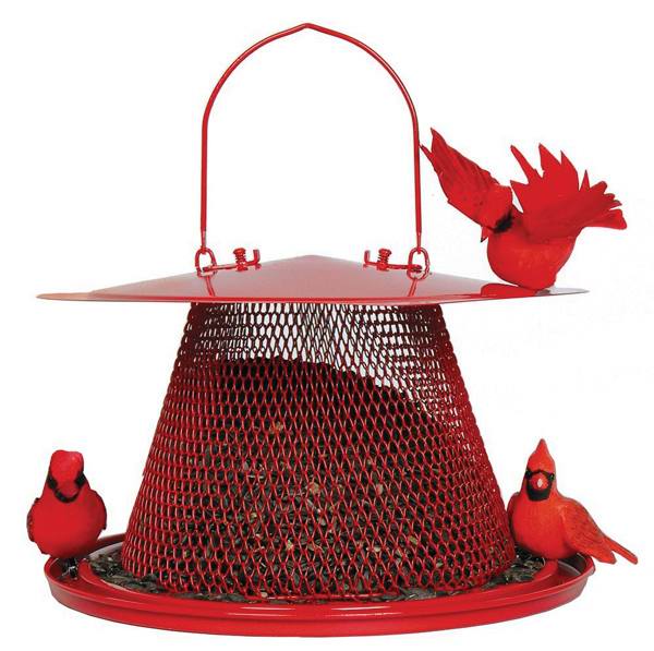 No No Red Cardinal Feeder