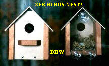 WINDOW View  BIRD HOUSE