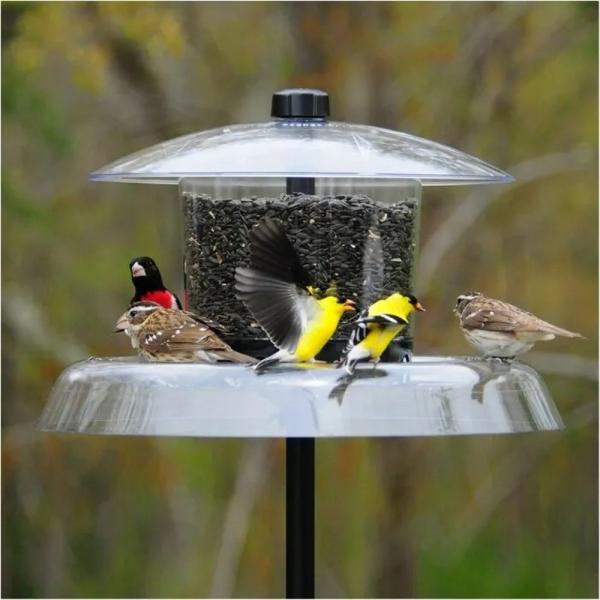 Droll Yankees The Jagunda with Auger Bird Feeder