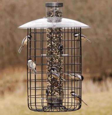 Droll Yankees Sunflower Domed Cage Feeder