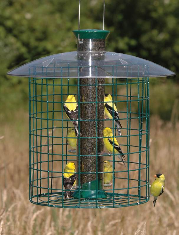 What Is The Best Hummingbird Feeder To Buy - Best Hummingbird Feeders Amazon