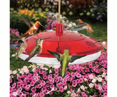 Droll Yankees New Large Hummingbird Feeder