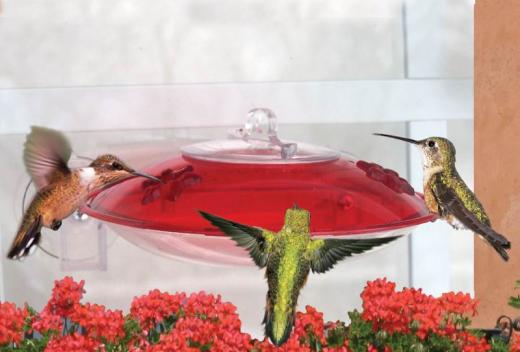 Droll Yankees Window Hummer 3 Hummingbird Feeder