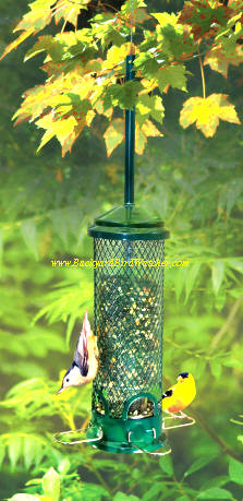 Brome Squirrel Buster Mini Squirrel Proof Bird Feeder