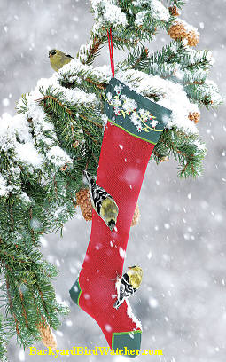 Holiday Nyjer Finch Stocking
