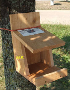 Songbird Cedar Robins Roost-Birdhouse