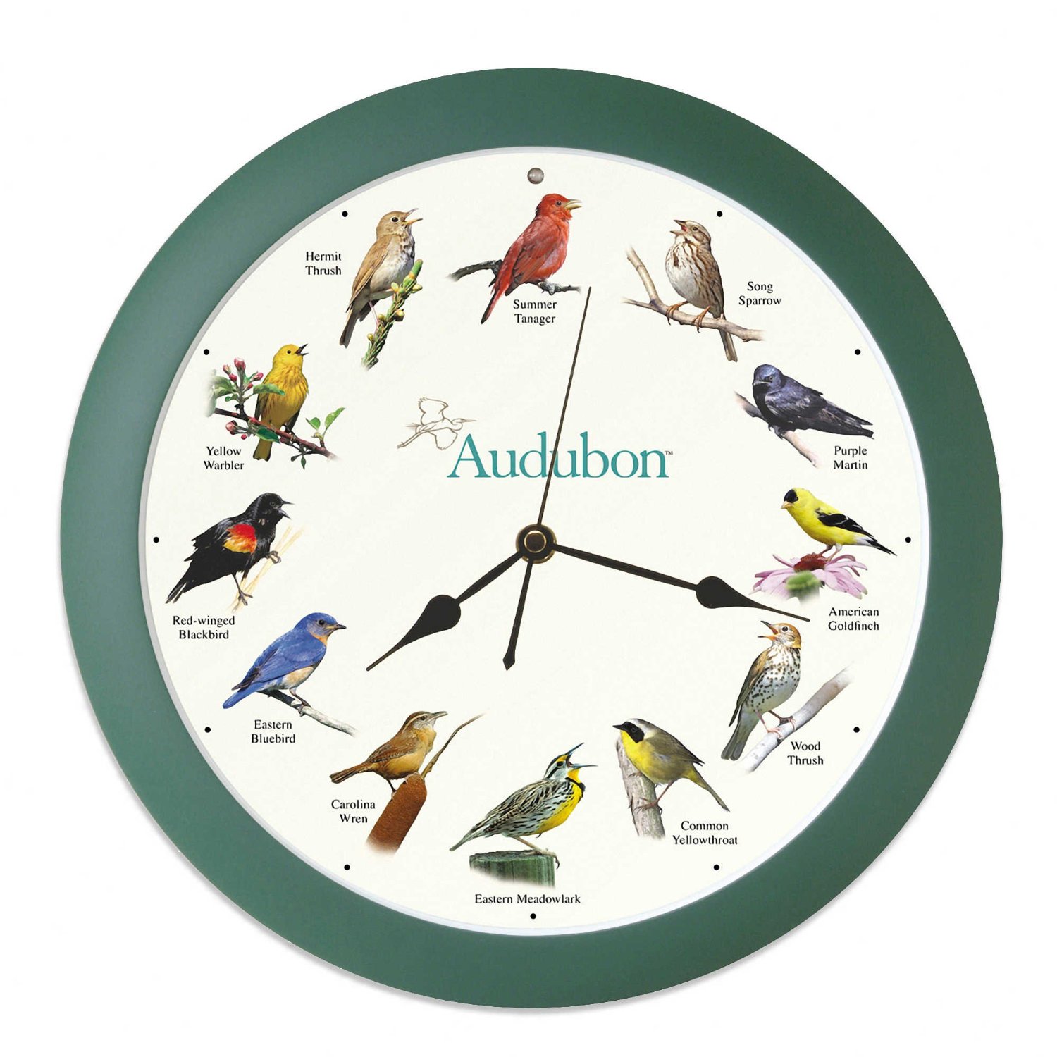 Audubon Singing Bird Clock 13 in. Green