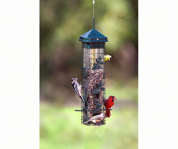 Brome Seed Saver Squirrel Proof 200 Bird Feeder