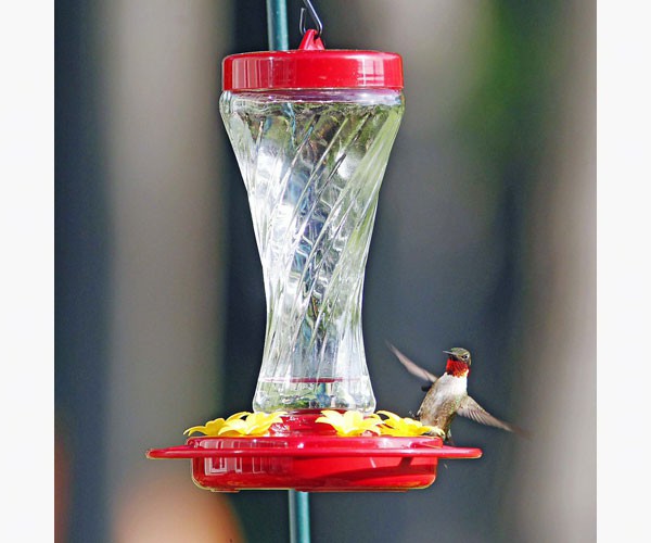 Paradise Glass Hummingbird Feeder