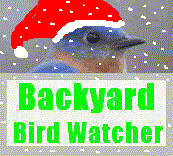 BBWbluebirdlogoxmas.jpg