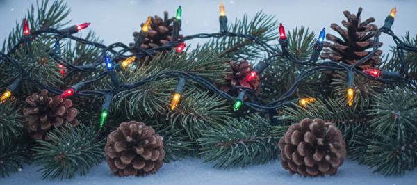 Christmaslightsbanner4with_pinecones