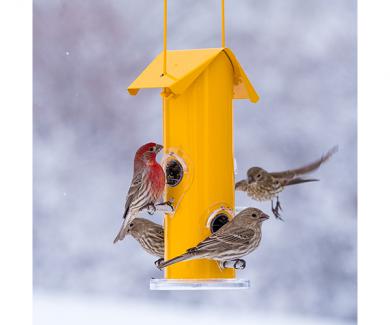 Yellow Metal Tube Bird Feeder