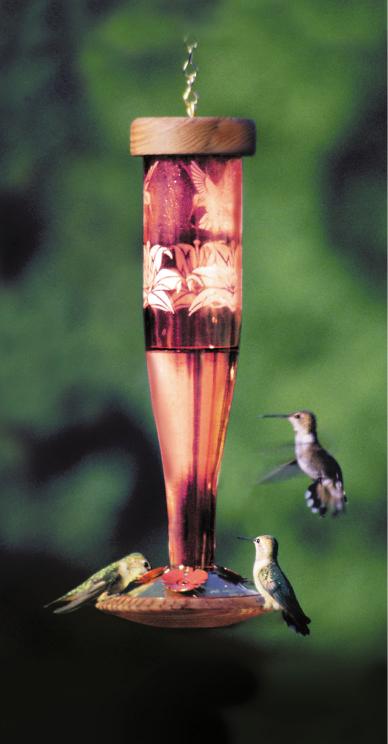 Schrodt Designs Paradise Ruby HummingBird Lantern