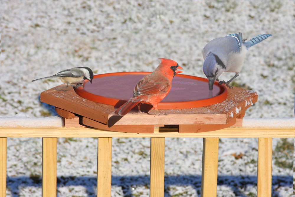 Cedar Heated Deck Mount Bird Bath