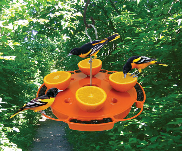 Ultimate Oriole Feeder SE905