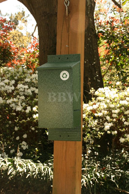 Songbird Essentials Bat House Green