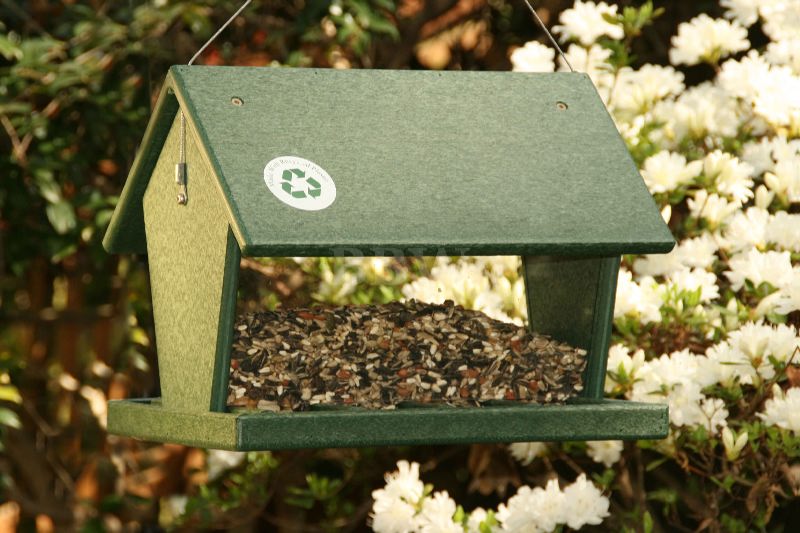 Songbird Essentials Recycled Plastic Hopper Feeder-Hunter Green-4 qts.