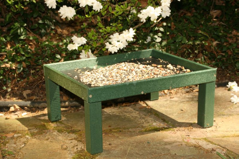 Songbird Essentials Recycled Plastic Ground Platform Feeder  Green