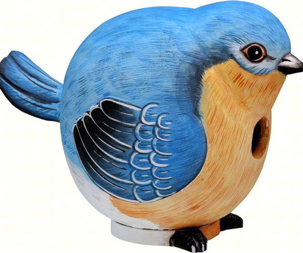 Hand Painted Bluebird Gord-O Birdhouse