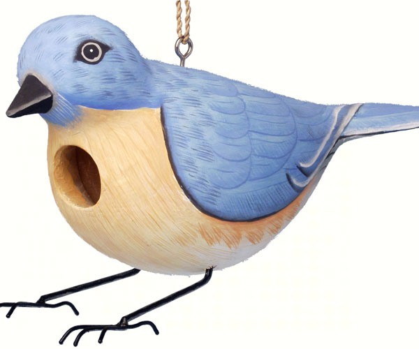 Eastern Bluebird Bird House