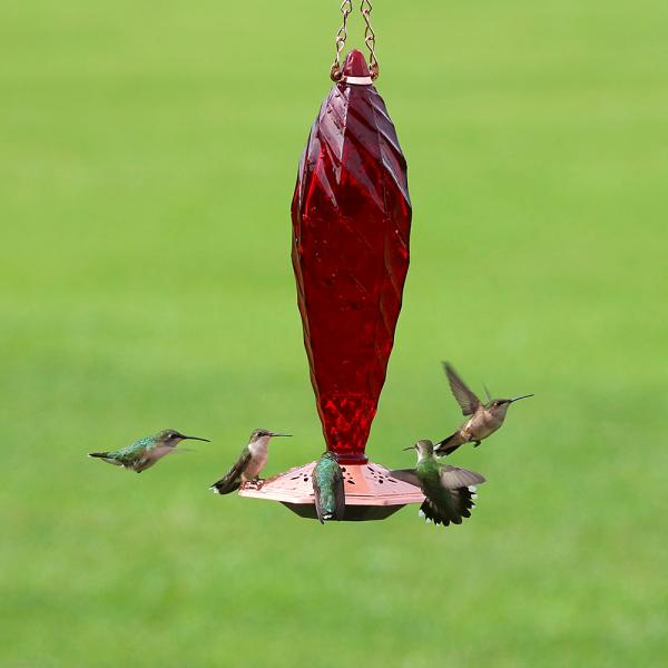 Crystal Spiral Glass Hummingbird Feeder