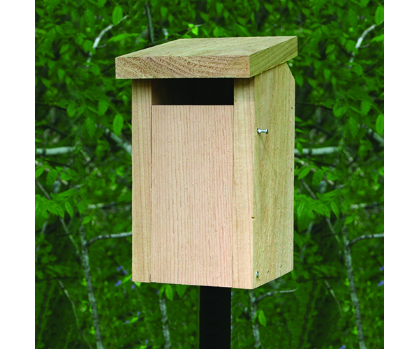 Songbird Essentials Bluebird House with Slot