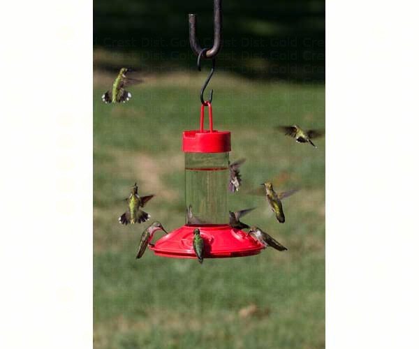 Dr JB's Hummingbird Feeder - Red