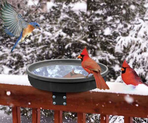 Songbird Spa Heated Bird Bath